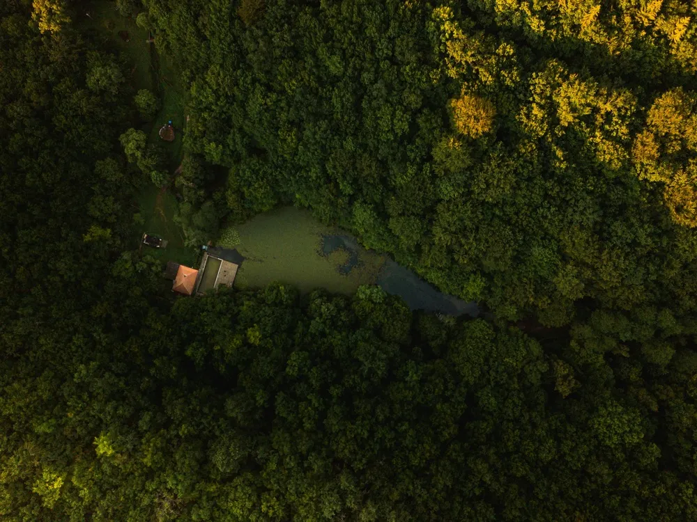 绿意盎然中的宁静港湾