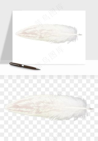 白羽毛漂浮彩色羽毛png免抠