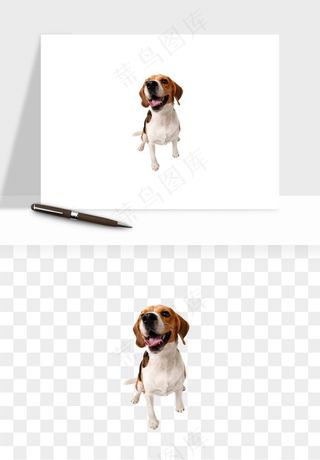 猫咪喵星人狗狗宠物元素png免抠