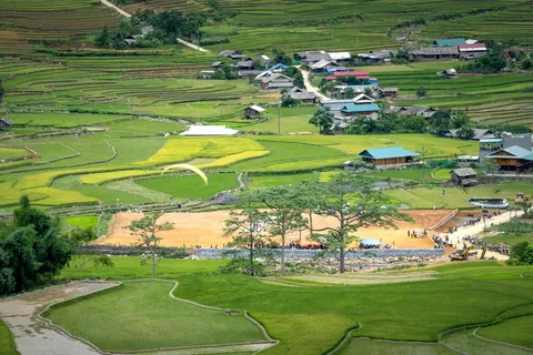 绿波金田:写实风格的水稻梯田摄影 绿波金田:写实风格的水稻梯田摄影