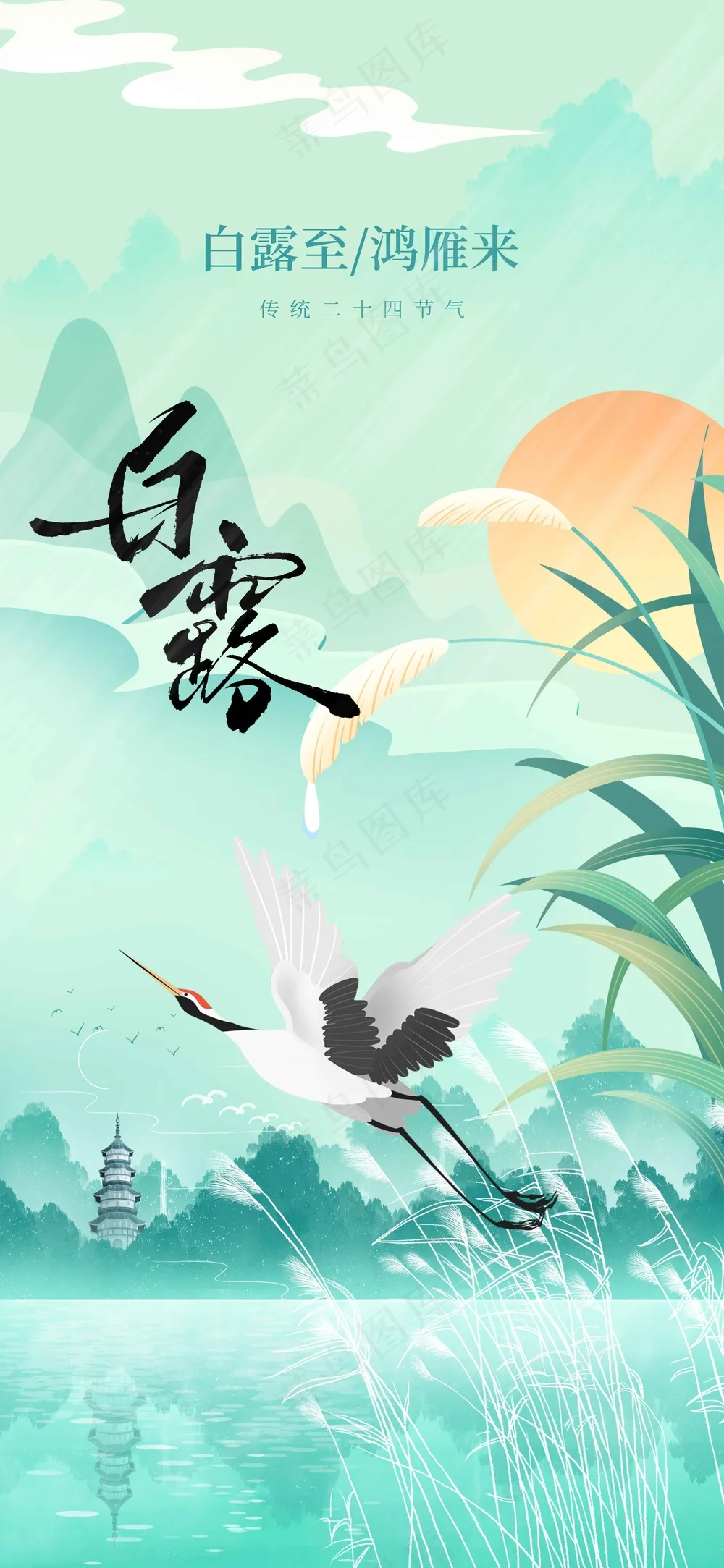 白露节气传统活动宣传海报
