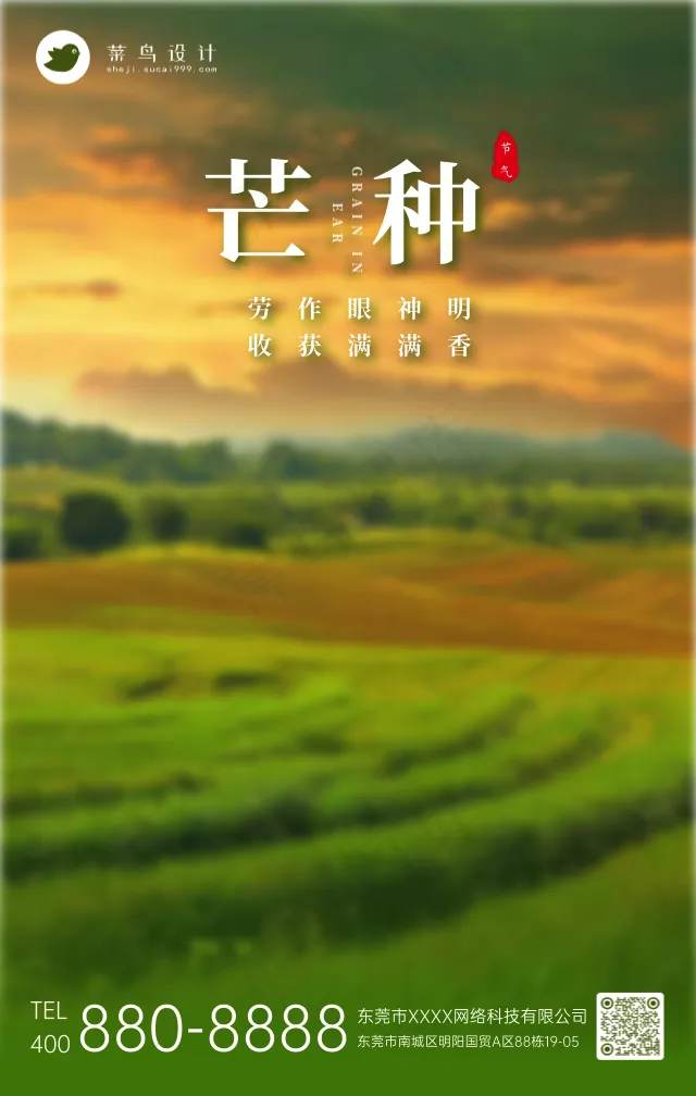 芒种手机海报