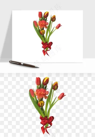 荷兰郁金香鲜花png免抠