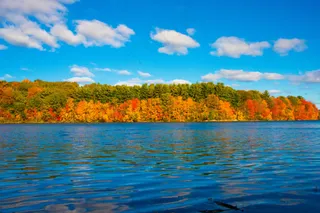 秋日湖韵：写实风格下的色彩盛宴