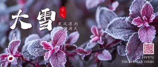 大雪公众号首图
