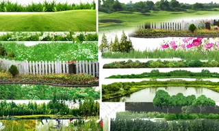 户外前景花草素材