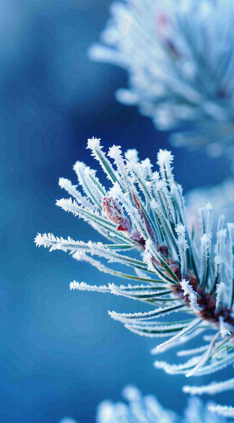 冬天寒冷白雪结冰小寒摄影图