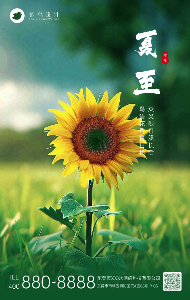 夏至手机海报