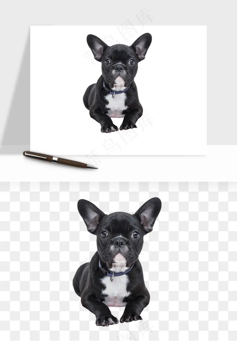 猫咪喵星人狗狗宠物元素png免抠