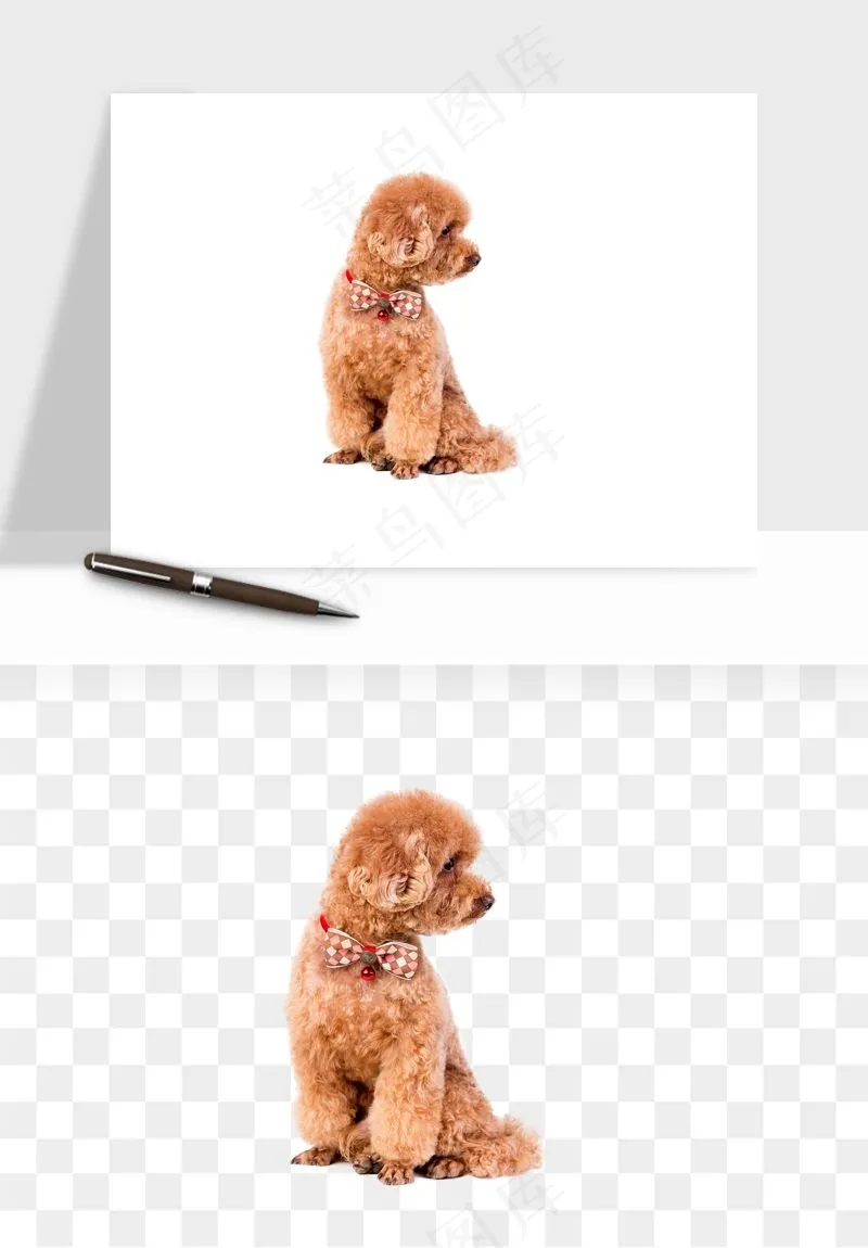 猫咪喵星人狗狗宠物元素png免抠