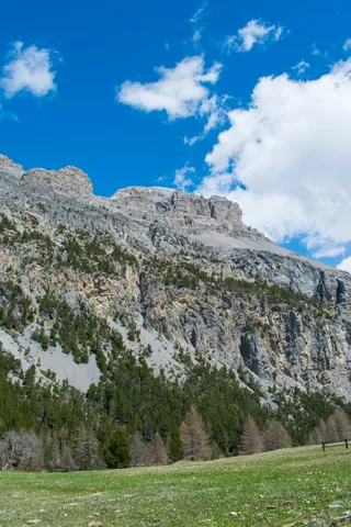 翠绿草地雪覆山，蔚蓝天空云飘飘