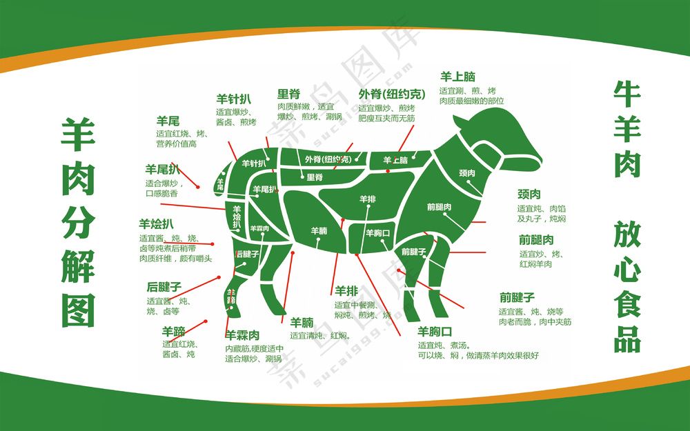 羊肉分割图设计