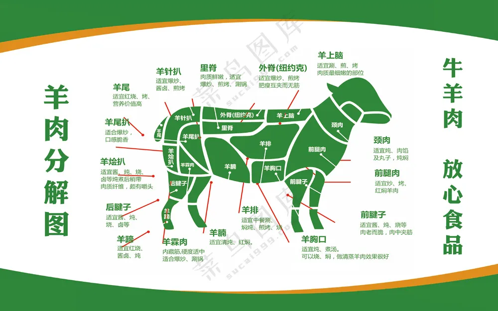 羊肉分割图设计