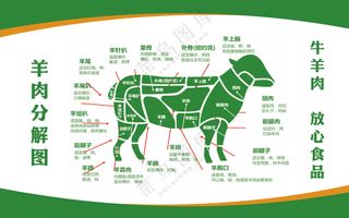 羊肉分割图设计
