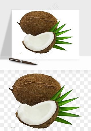 椰子椰果水果png免抠