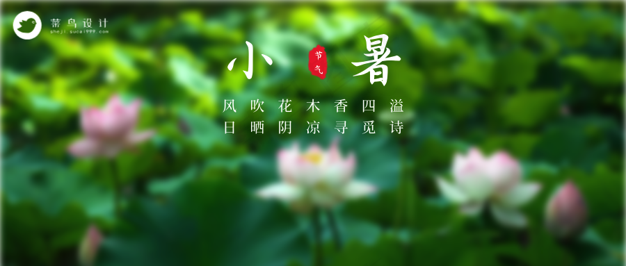 小暑公众号首图