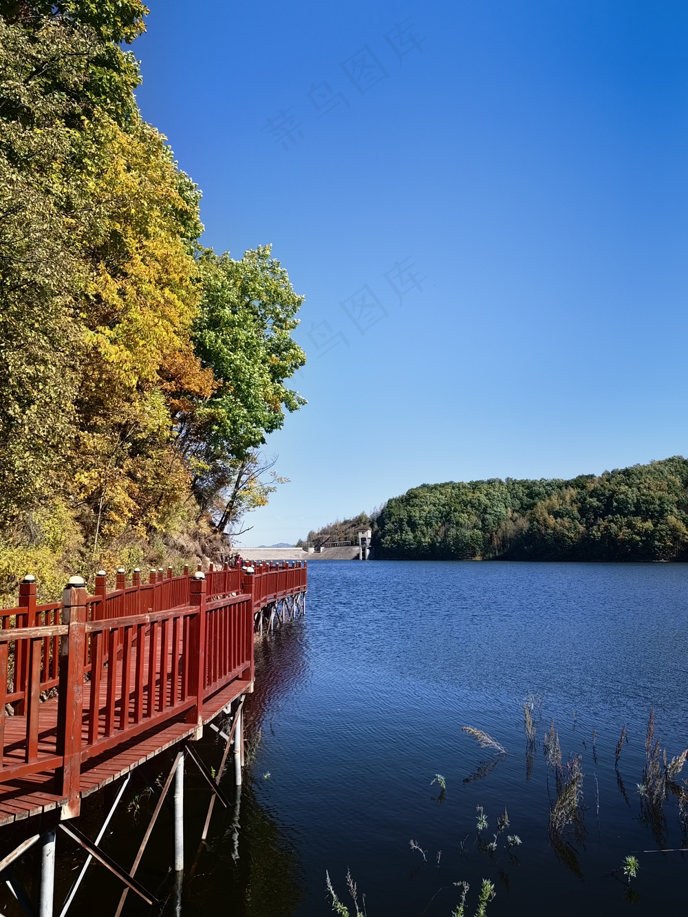 夏日湖面风景高清摄影图