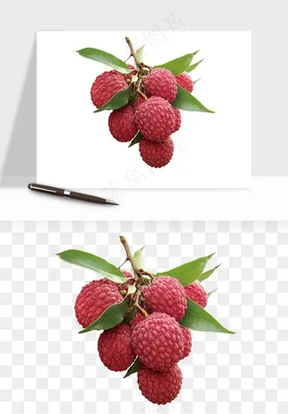 荔枝妃子笑水果png免抠