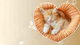 宠物常识宠物攻略猫狗卡通插画背景