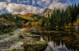秋韵山水间：金黄森林与静谧湖泊的邂逅