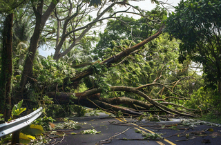 台风预警天气自然灾害