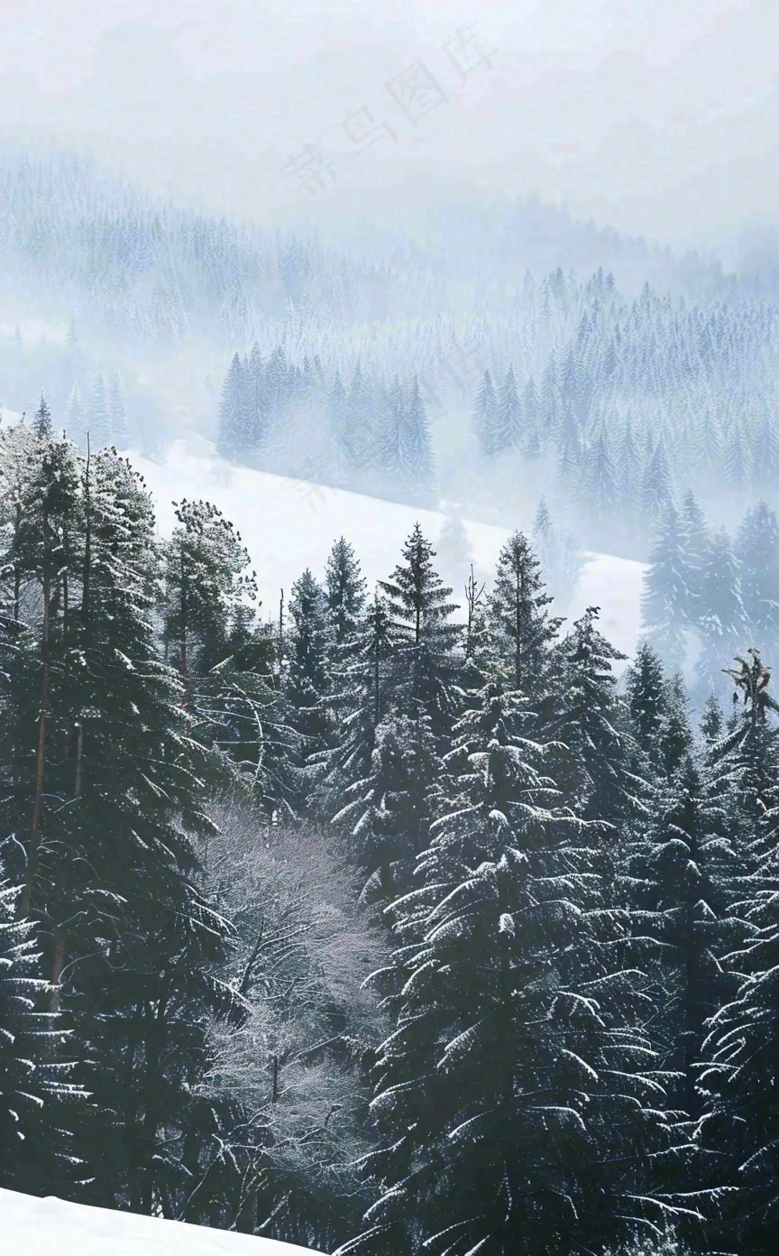 冬天寒冷白雪结冰大寒摄影图