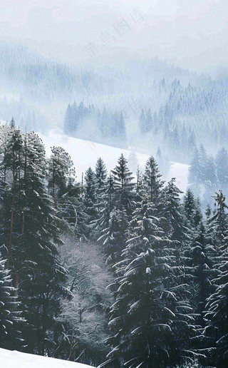 冬天寒冷白雪结冰大寒摄影图