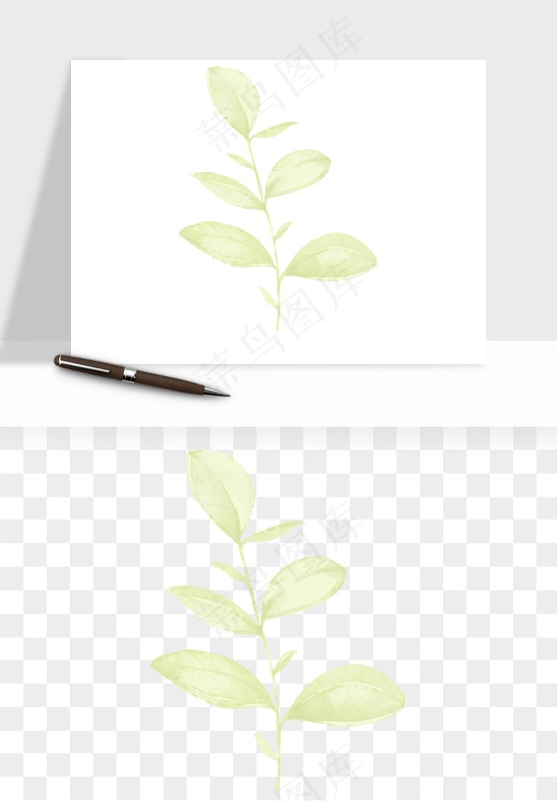 清新手绘植物png免抠
