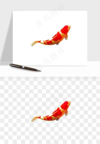 锦鲤鱼手绘水墨png免抠