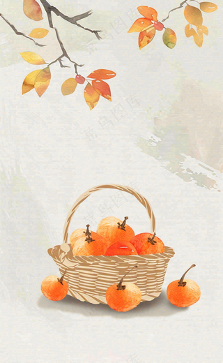 秋冬柿子树下的柿子水果霜降插画背景