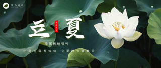 立夏公众号首图