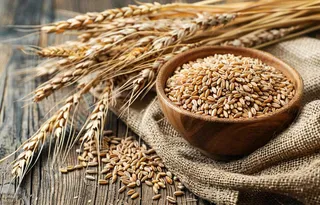 世界粮食日谷物米饭稻谷小麦摄影图