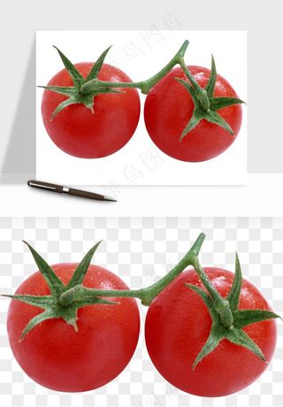 西红柿番茄圣女果png免抠