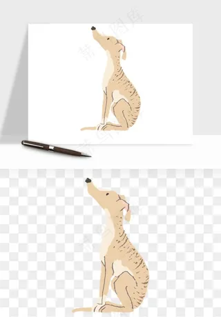 手绘狗狗宠物png免抠