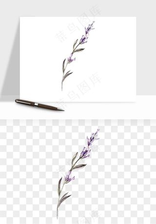 水彩复古植物花卉png免抠