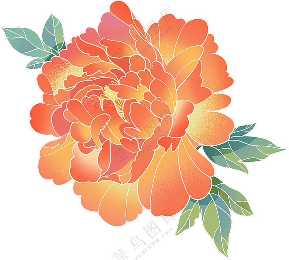 牡丹花   手绘花朵   粉色牡丹花   牡丹花朵  免扣素材