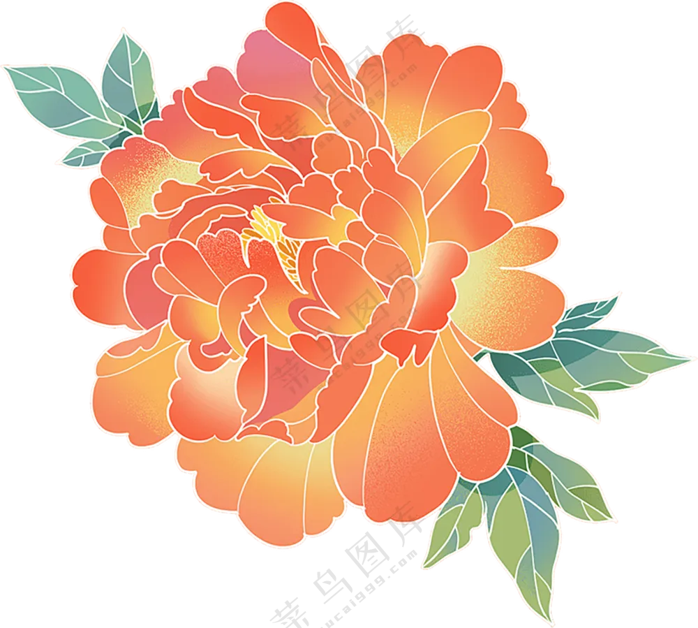 牡丹花   手绘花朵   粉色牡丹花   牡丹花朵  免扣素材