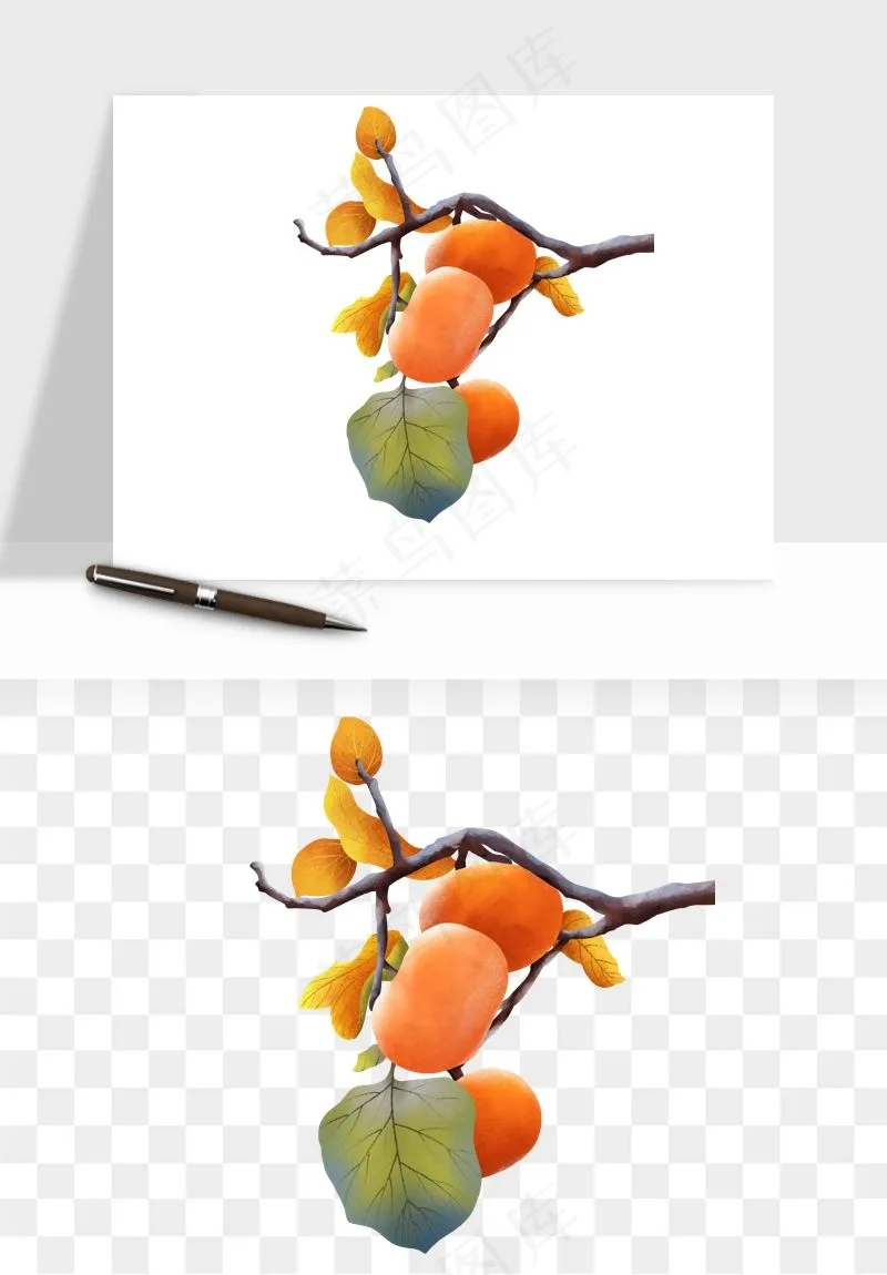 手绘柿子树秋png免抠