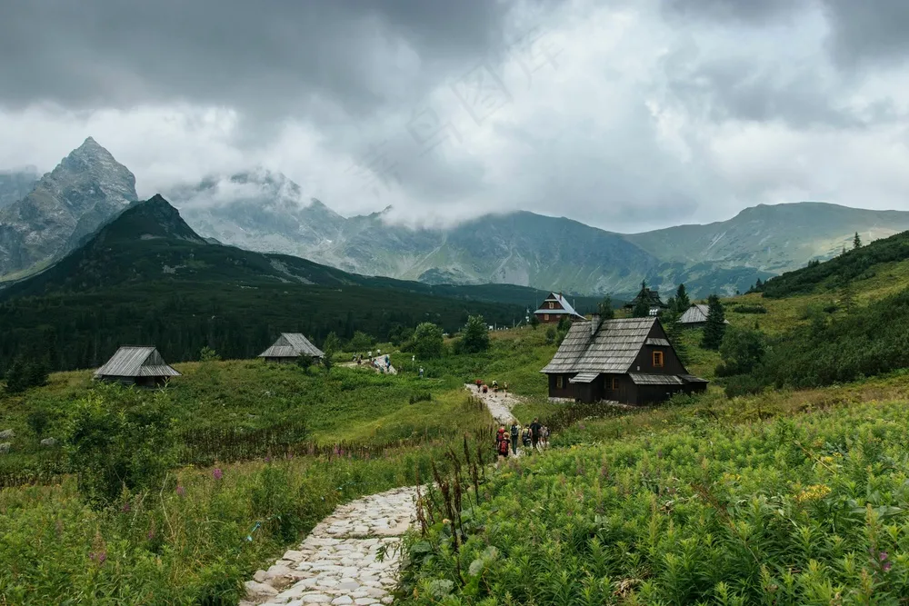 山间绿意盎然的小路