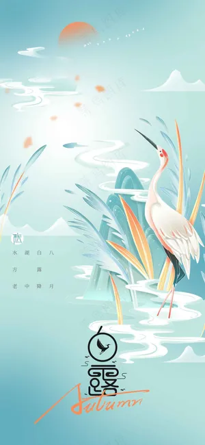 白露节气传统活动宣传海报