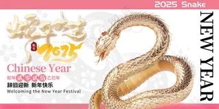 蛇年海报蛇年晚会蛇年2025