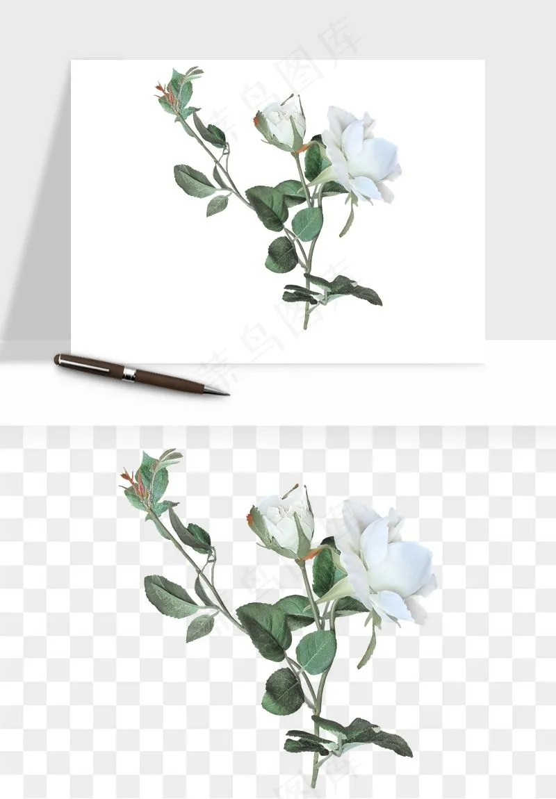 复古鲜花玫瑰png免抠