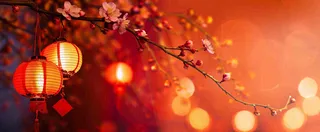 春节梅花红灯笼挂枝头红色喜庆小年除夕夜元宵节背景