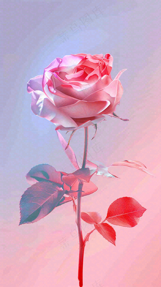 渐变玫瑰花创意插画情人节背景
