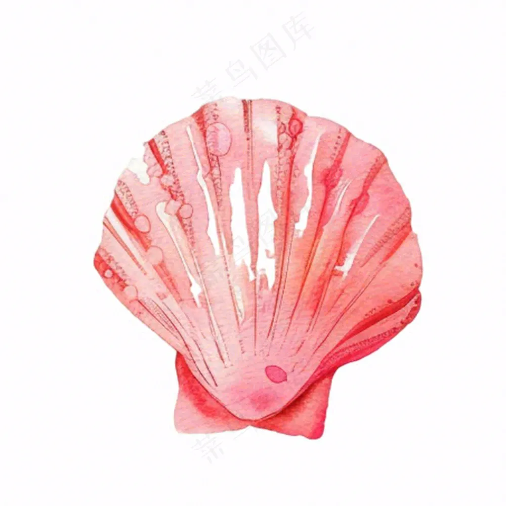 海洋扇贝贝壳卡通插画免抠