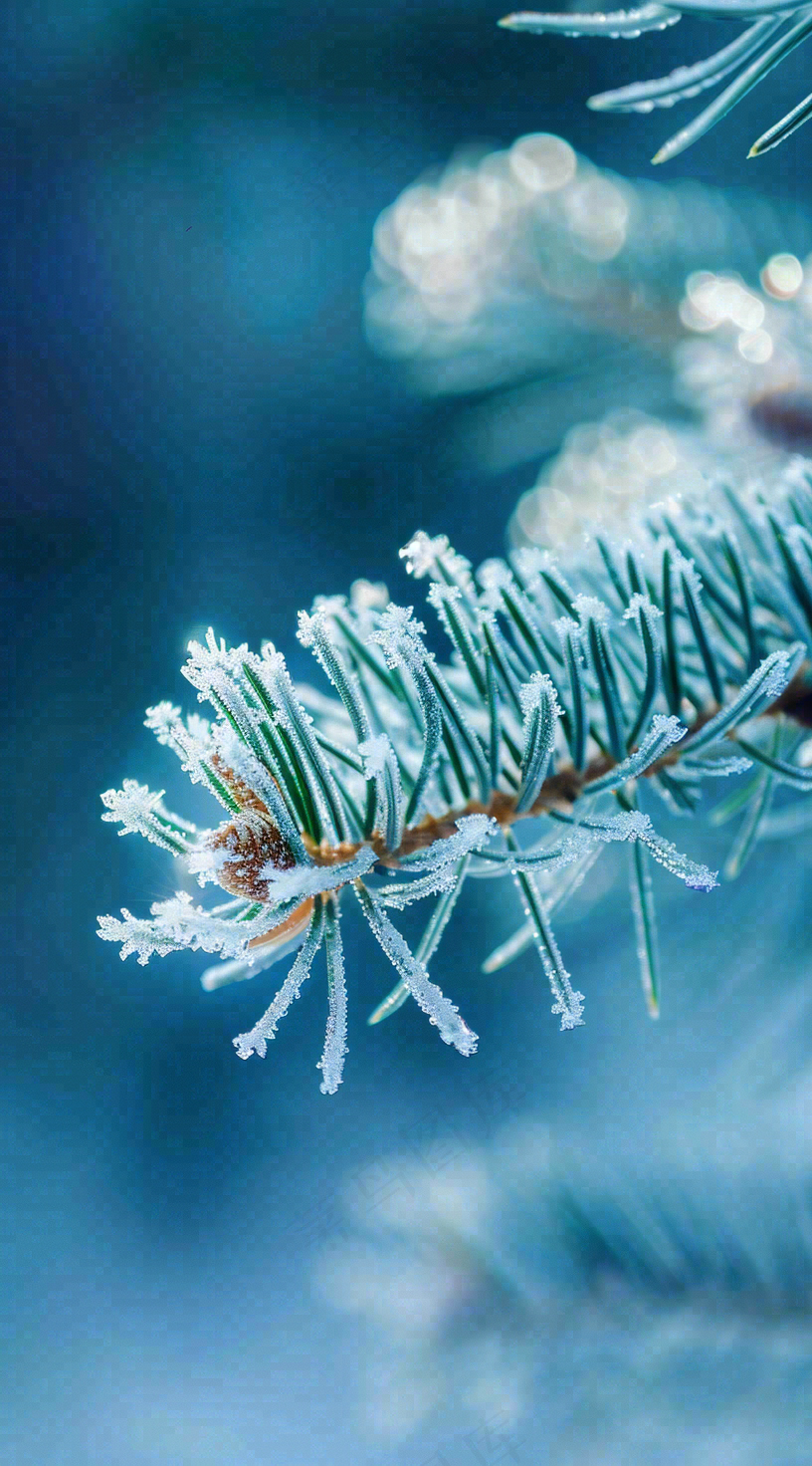 冬天寒冷白雪结冰大寒摄影图