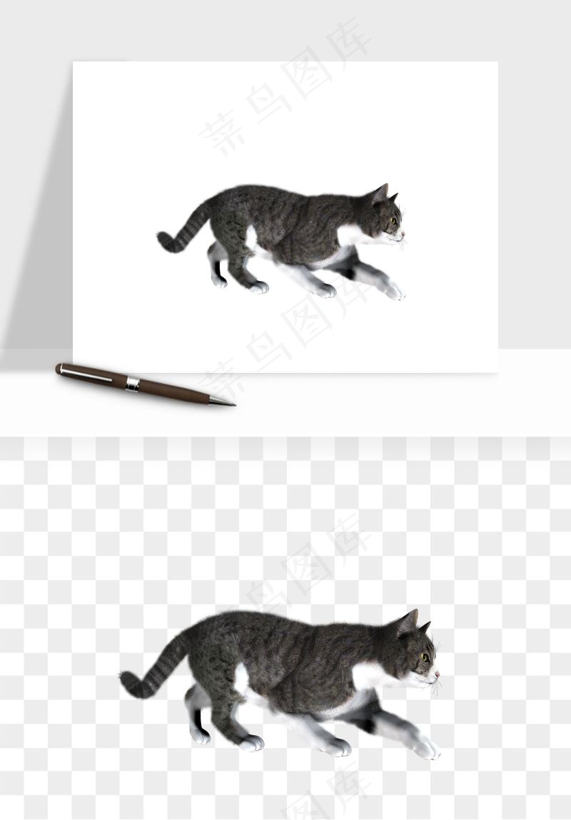 猫咪喵星人狗狗宠物元素png免抠