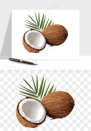 椰子椰果水果png免抠