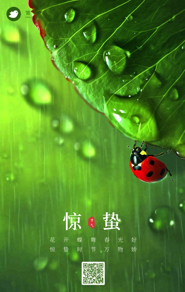 惊蛰手机海报