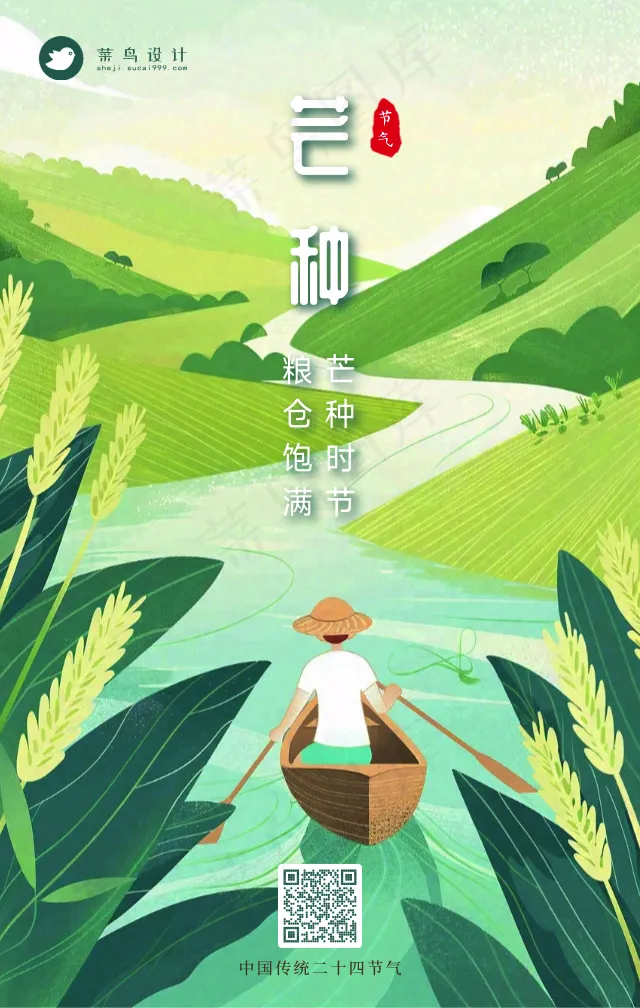 芒种手机海报